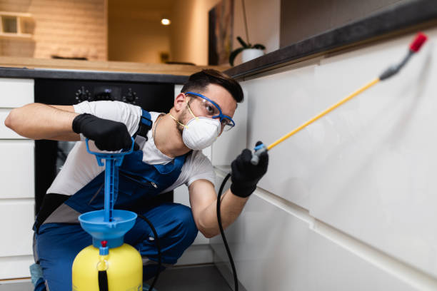 Trusted Red Lake, AZ Pest Control Experts