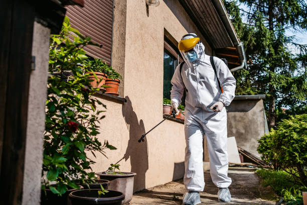 Best Wasp Removal Services  in Red Lake, AZ