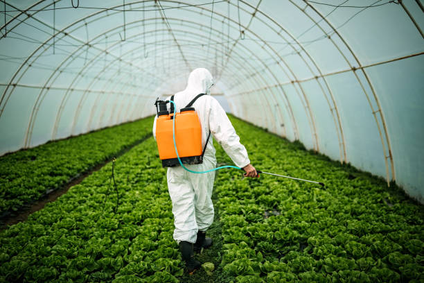 Best Pest Prevention Services  in Red Lake, AZ