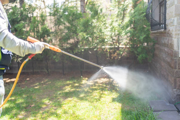 Best Local Pest Control Services  in Red Lake, AZ