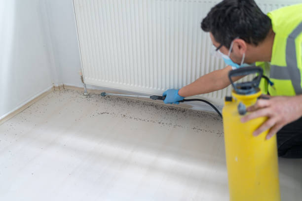 Best Emergency Pest Control  in Red Lake, AZ